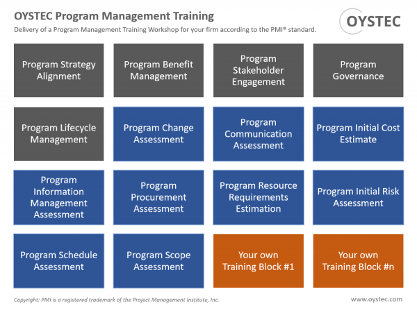 Program Management Training Workshop