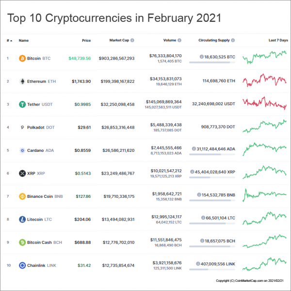 Top10CryptoCurrencies2021Febr0mfcVFBraKGS